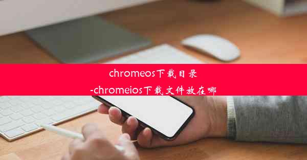 chromeos下载目录-chromeios下载文件放在哪