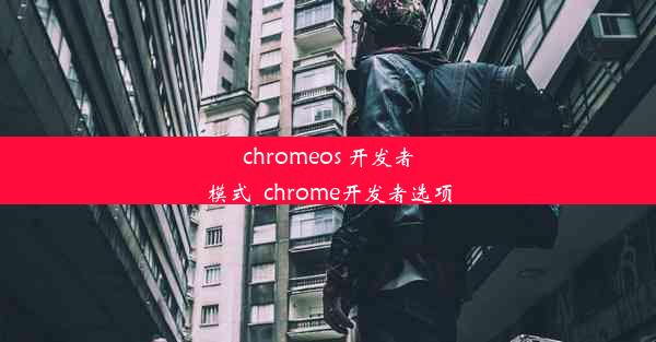 chromeos 开发者模式_chrome开发者选项