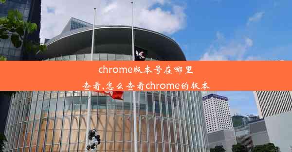 chrome版本号在哪里查看,怎么查看chrome的版本