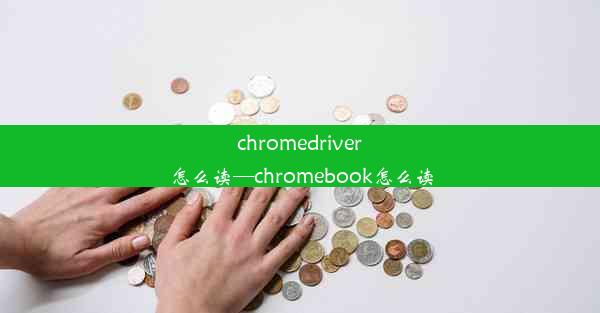 chromedriver怎么读—chromebook怎么读