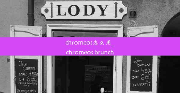 chromeos怎么用_chromeos brunch