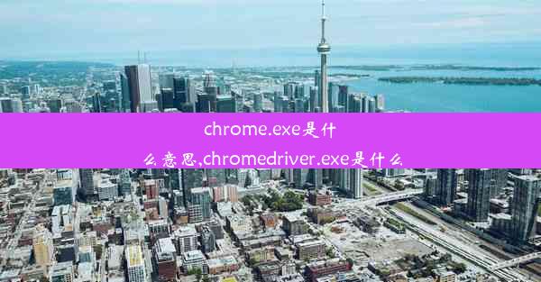 chrome.exe是什么意思,chromedriver.exe是什么