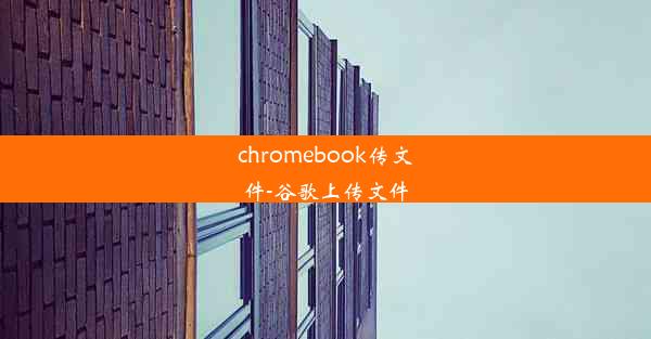 chromebook传文件-谷歌上传文件