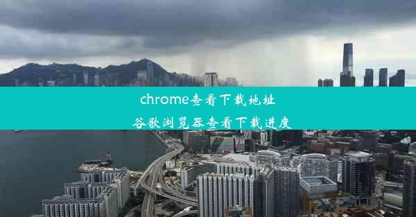 chrome查看下载地址_谷歌浏览器查看下载进度