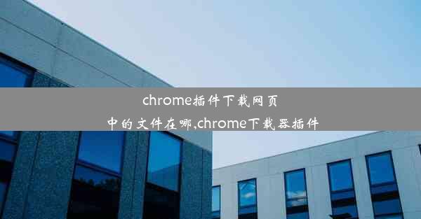 chrome插件下载网页中的文件在哪,chrome下载器插件