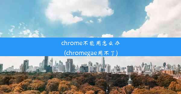 chrome不能用怎么办(chromegae用不了)