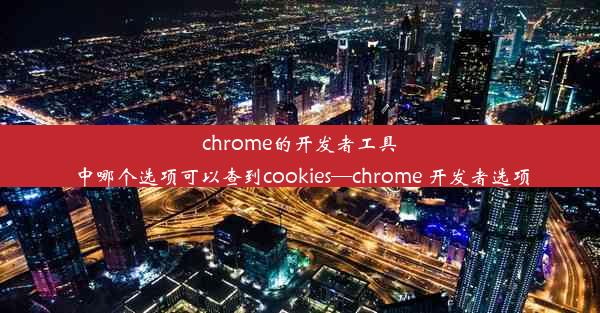 chrome的开发者工具中哪个选项可以查到cookies—chrome 开发者选项