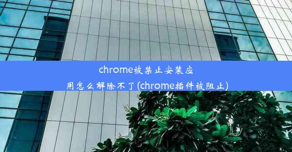 chrome被禁止安装应用怎么解除不了(chrome插件被阻止)