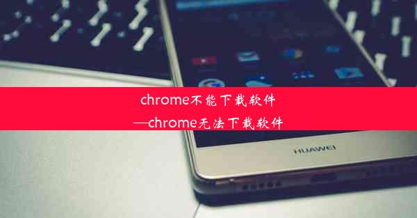 chrome不能下载软件—chrome无法下载软件