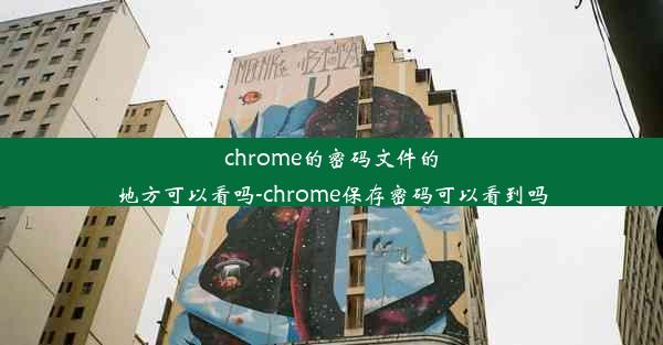 chrome的密码文件的地方可以看吗-chrome保存密码可以看到吗