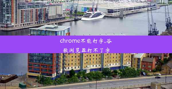 chrome不能打字,谷歌浏览器打不了字