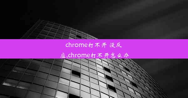 chrome打不开 没反应,chrome打不开怎么办