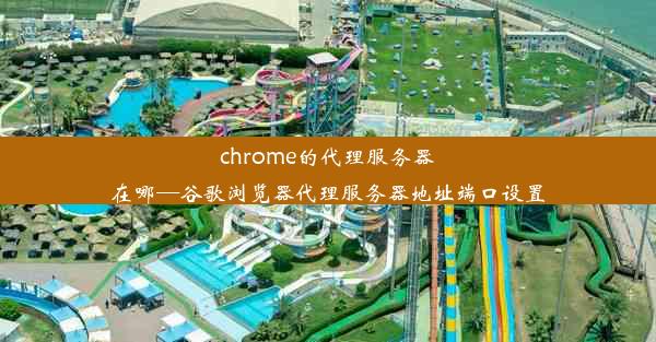 chrome的代理服务器在哪—谷歌浏览器代理服务器地址端口设置