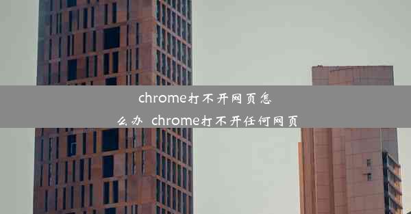 chrome打不开网页怎么办_chrome打不开任何网页