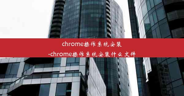 chrome操作系统安装-chrome操作系统安装什么文件