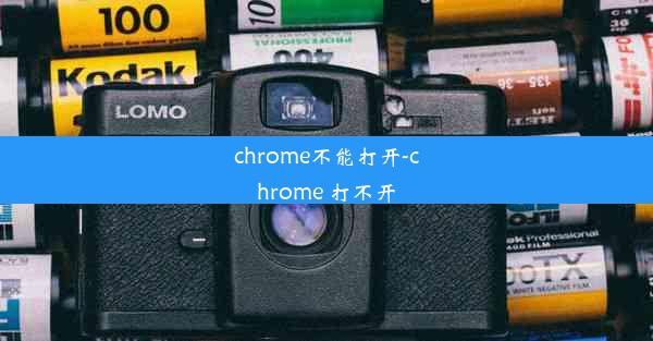 chrome不能打开-chrome 打不开