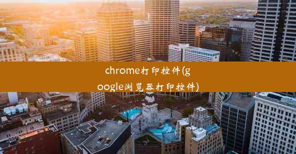 chrome打印控件(google浏览器打印控件)