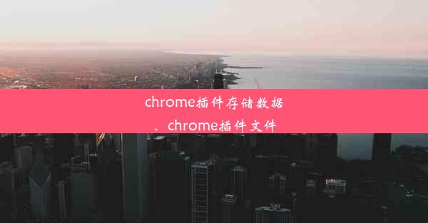 chrome插件存储数据、chrome插件文件