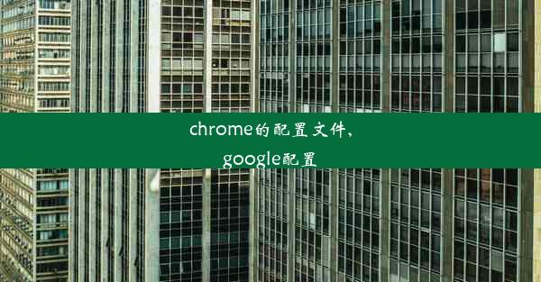 chrome的配置文件,google配置