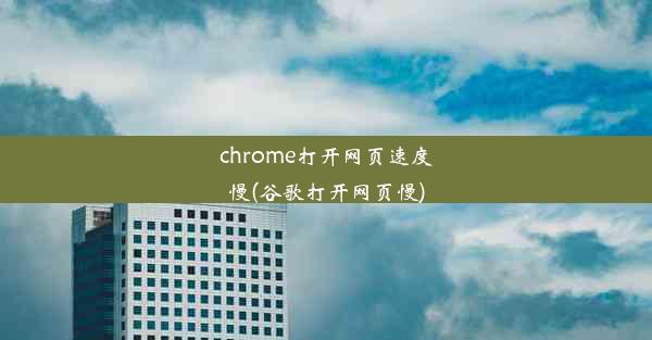 chrome打开网页速度慢(谷歌打开网页慢)