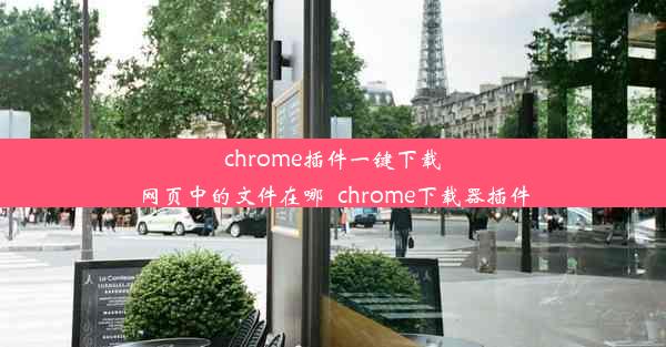 chrome插件一键下载网页中的文件在哪_chrome下载器插件