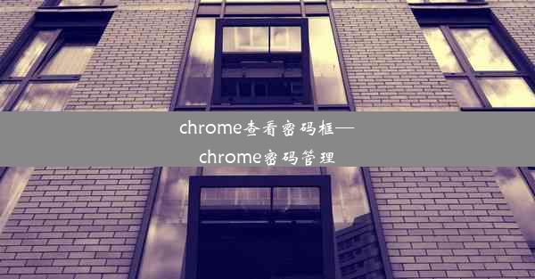 chrome查看密码框—chrome密码管理