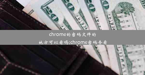 chrome的密码文件的地方可以看吗;chrome密码查看