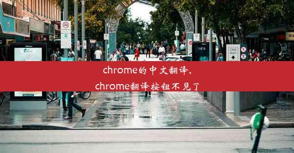 chrome的中文翻译,chrome翻译按钮不见了