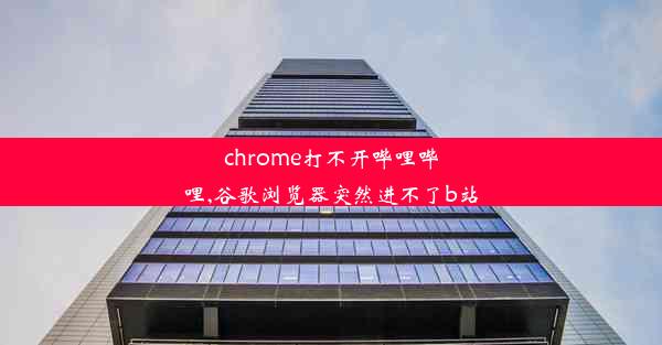 chrome打不开哔哩哔哩,谷歌浏览器突然进不了b站