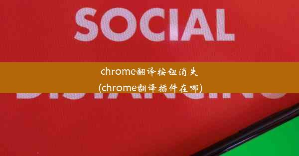 chrome翻译按钮消失(chrome翻译插件在哪)