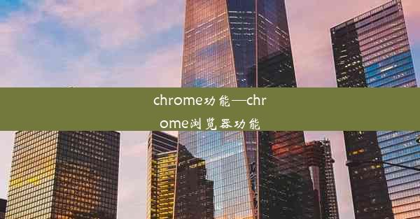 chrome功能—chrome浏览器功能