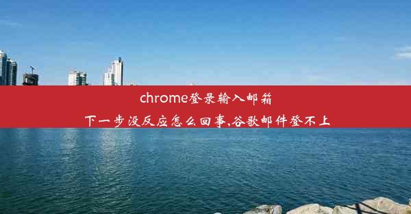 chrome登录输入邮箱下一步没反应怎么回事,谷歌邮件登不上