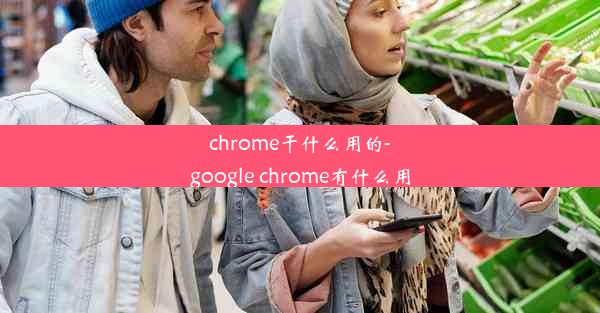 chrome干什么用的-google chrome有什么用