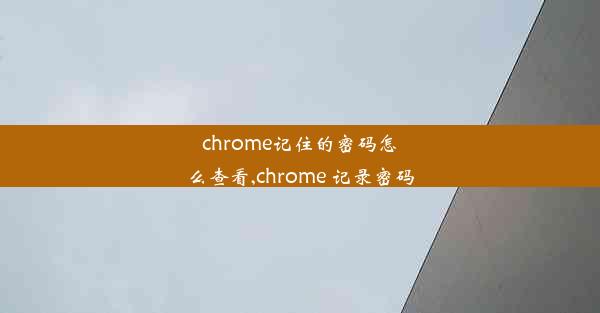 chrome记住的密码怎么查看,chrome 记录密码