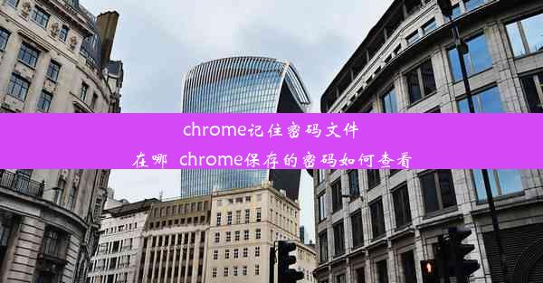 chrome记住密码文件在哪_chrome保存的密码如何查看