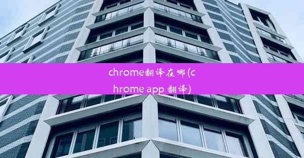 chrome翻译在哪(chrome app 翻译)