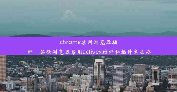 chrome禁用浏览器插件—谷歌浏览器禁用activex控件和插件怎么办