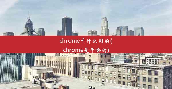 chrome干什么用的(chrome是干啥的)