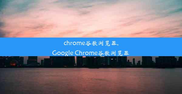 chrome谷歌浏览器,Google Chrome谷歌浏览器