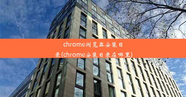 chrome浏览器安装目录(chrome安装目录在哪里)