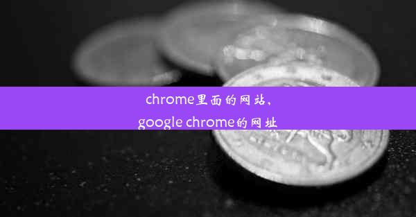 chrome里面的网站,google chrome的网址