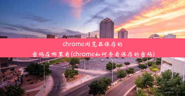 chrome浏览器保存的密码在哪里看(chrome如何查看保存的密码)