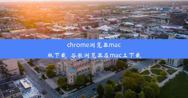 chrome浏览器mac版下载_谷歌浏览器在mac上下载