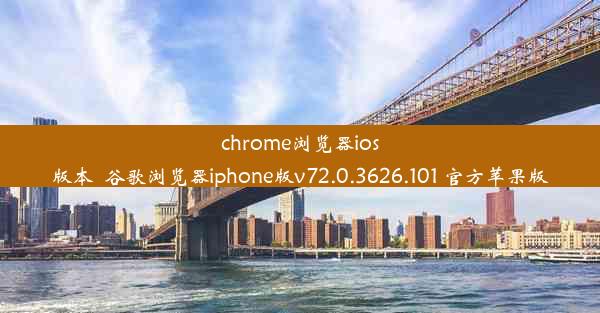 chrome浏览器ios版本_谷歌浏览器iphone版v72.0.3626.101 官方苹果版