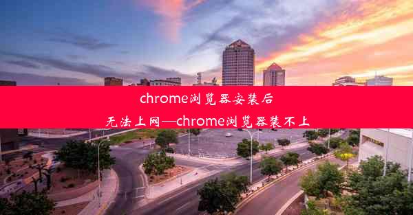 chrome浏览器安装后无法上网—chrome浏览器装不上