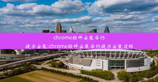 chrome控件安装后仍提示安装;chrome控件安装后仍提示安装过程