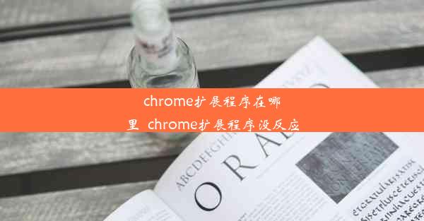 chrome扩展程序在哪里_chrome扩展程序没反应