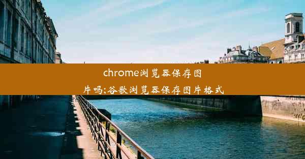 chrome浏览器保存图片吗;谷歌浏览器保存图片格式