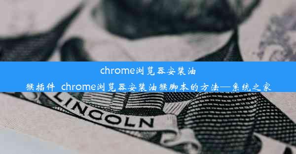 chrome浏览器安装油猴插件_chrome浏览器安装油猴脚本的方法—系统之家