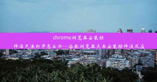 chrome浏览器安装控件后无法打开怎么办—谷歌浏览器点击安装控件没反应